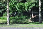 Green Fieldschainlink-fencing-9.jpg; ?>